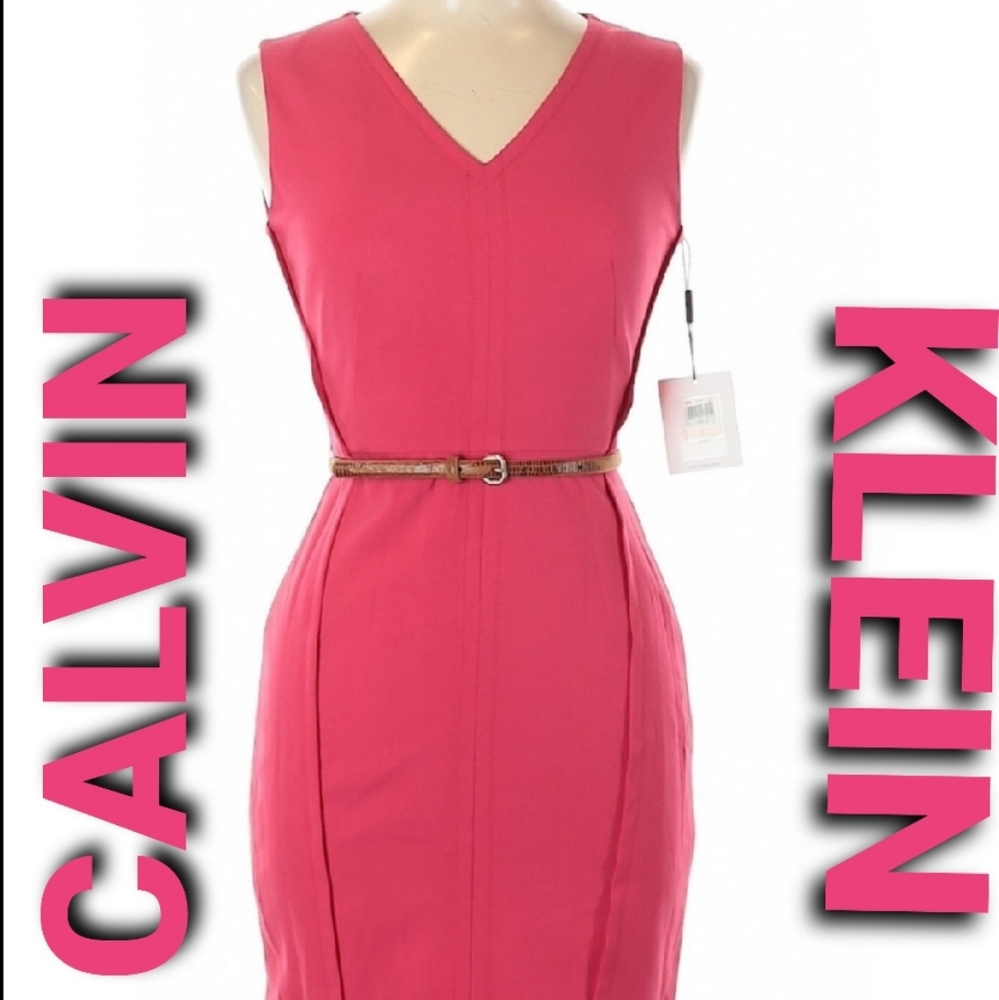||Calvin Klein|| Pink Cocktail Dress-2